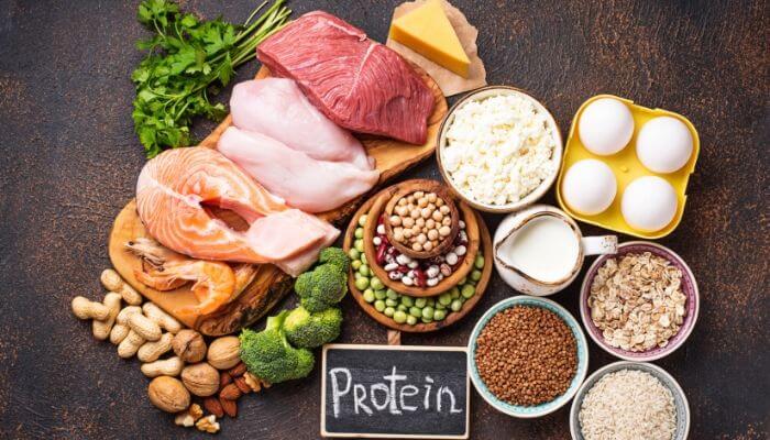 Nguyên tắc 3: Đảm bảo cung cấp protein và chất béo lành mạnh